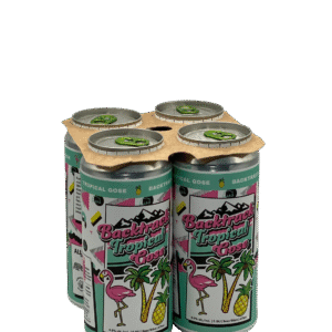 Alley Kat Brewing Backtrack Tropical Gose 4 Pack Cans